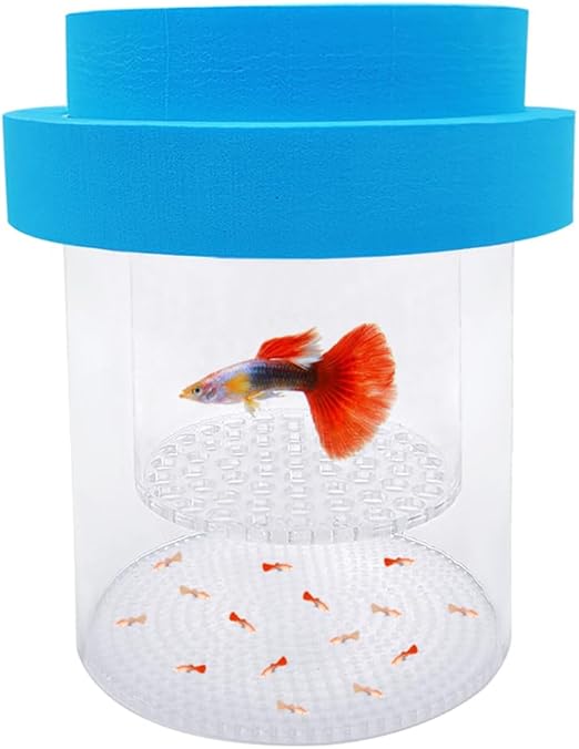 Floating Fish Breeding Box Acrylic Breeding Isolation Box for Aquarium Tank Hatchery Incubator Breeder Box for Baby Fish Betta Shrimp Clownfish Guppy (Blue, Medium)