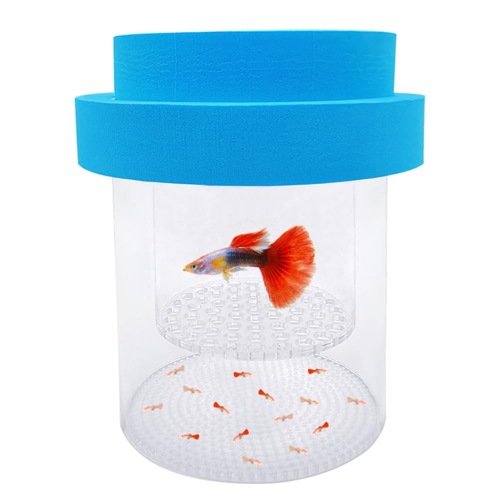baby fish box Floating Fish Breeding Box