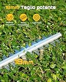 Seesii B0FV32LZ5P lato 2