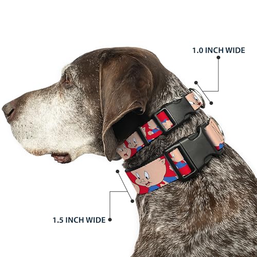 Collar de clip Porky Pig Expressions en rojo para perros medianos de Buckle-Down 3