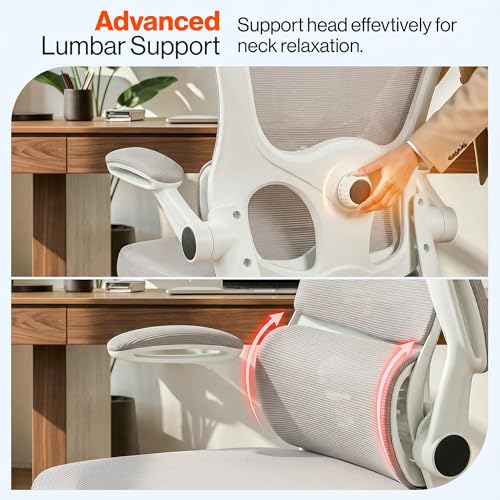 Image of DROGO Aerofly Premium Ergonomic Office Chair for Work from Home, 2D Headrest, High Back Computer Chair with Mesh, Flip-up Armrest, Recline,Adjustable Lumbar Support, Mesh Chair for Office(White /Grey)