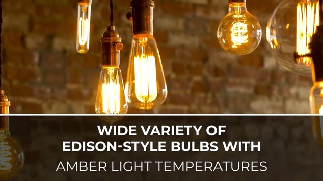 Bulbrite 134019 40W Nostalgic Edison Squirrel Cage-Style Bulb - 4