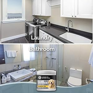 SMELLS BEGONE Pet Odor Absorber Gel – Air Freshener & Odor Eliminator – Formulated for The Toughest Pet Odors – Fragrance Free – 15 Ounce – 2 Pack