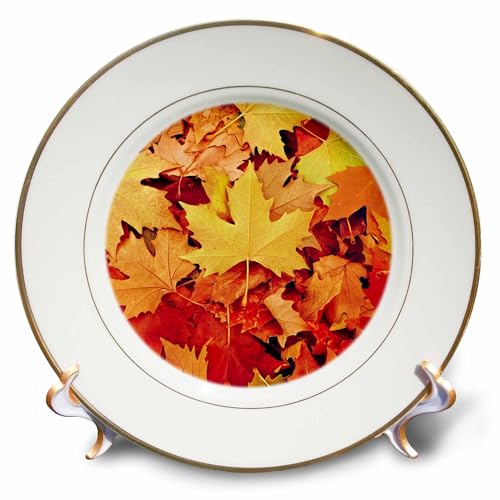 3dRose cp_255584_1 Autumn Colorful Leaves Leaf Season Plate, 8