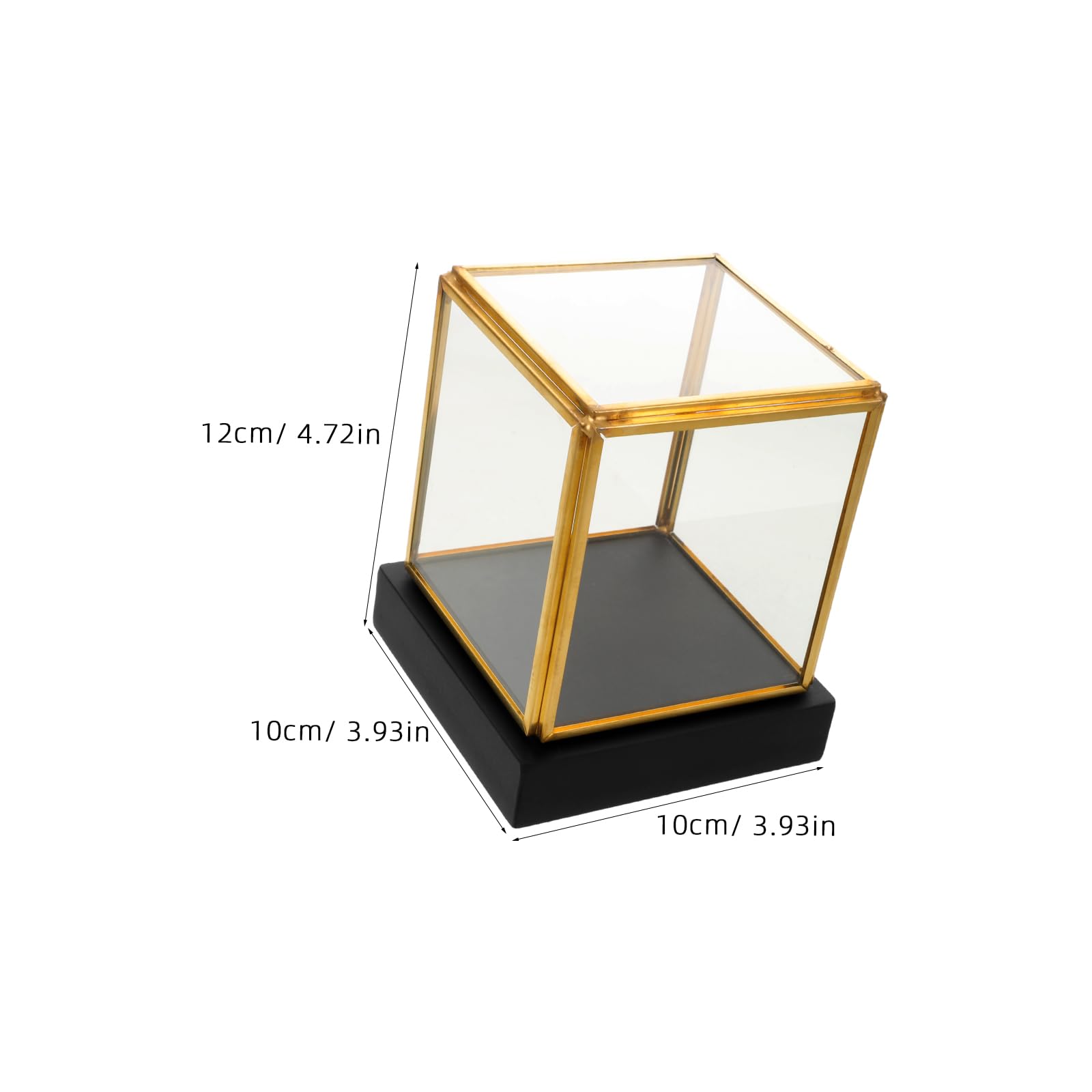 Teca in Vetro Quadrata con Base Nera in Legno per Collezioni da Scrivania