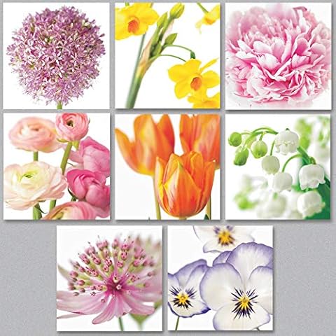 Mixed Floral Notecards - 8 Blank Cards With Envelopes - All Occasions Greeting Cards - Stationery Set - Thank You Cards - Note Cards Cover