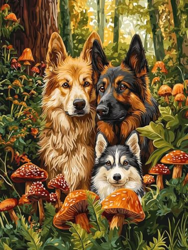 yCgoCio[Lbg X GLbg lphGLoXNtg A[guVƃANG̋ DIYGoCH| |ph S qp ƒ̕Ǒ t[Ȃ50x70cm -2092