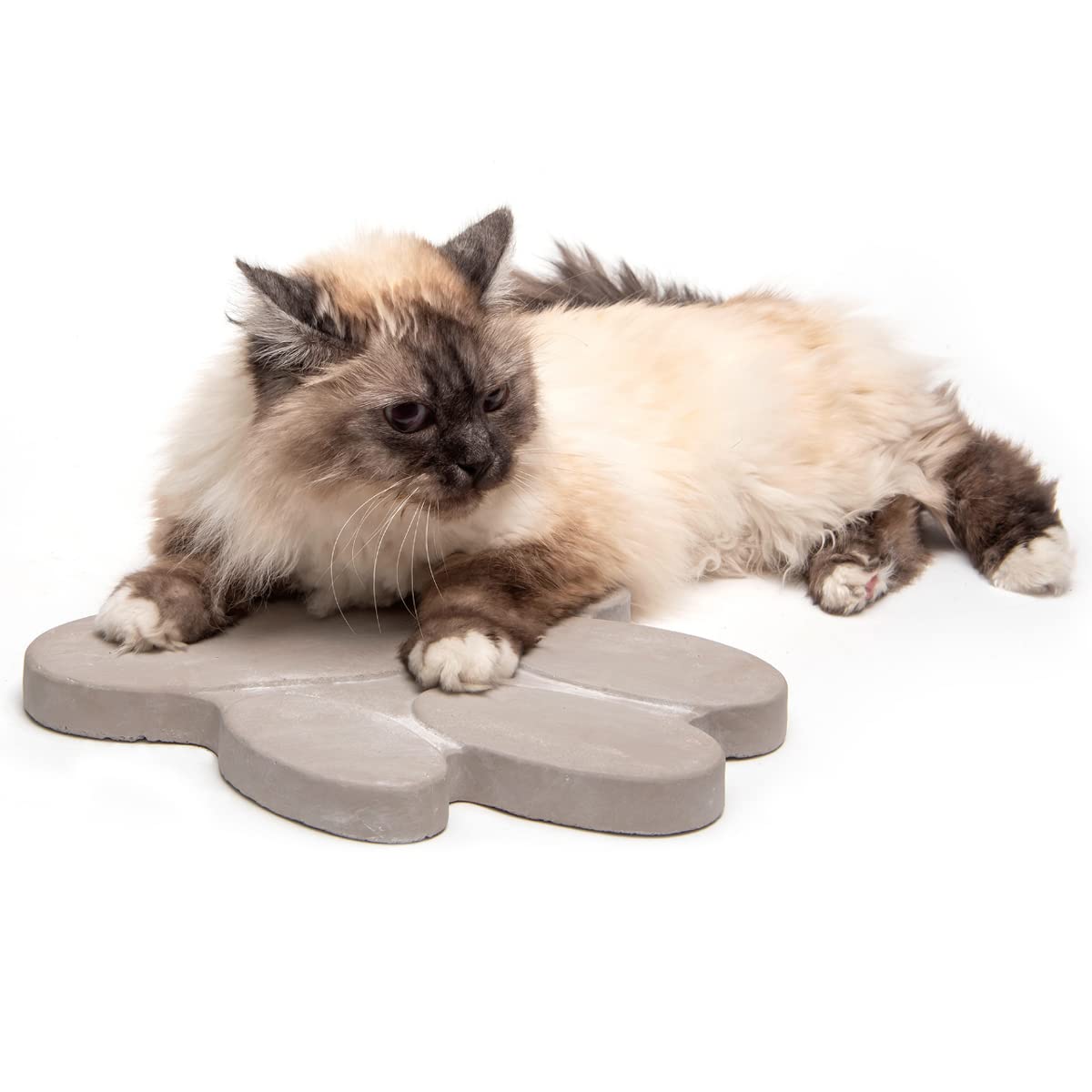 Schildkröten Betonform Für Gartenwege - Pathmate Steinguss Form