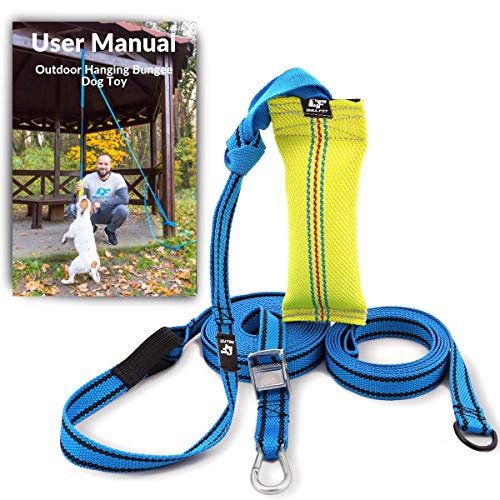 Outdoor Hanging Bungee Dog Toy - Durable Spring Pole for Pitbull & Medium