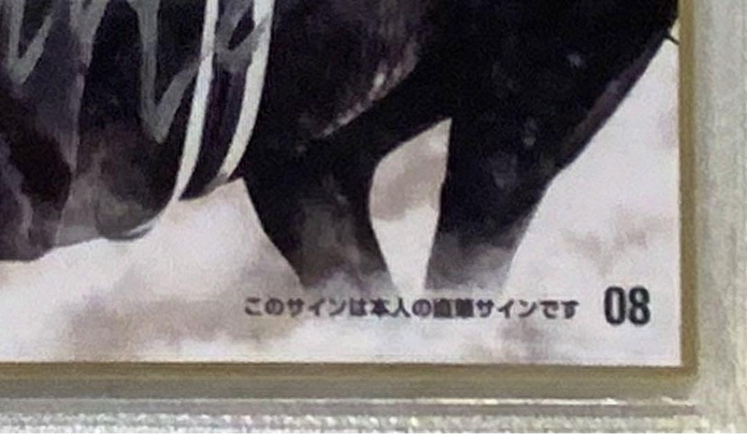 ダミアン.レーン騎手直筆サイン入りミニ色紙 リス