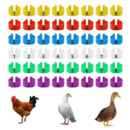 CYWVYNYT 48 Stück Hähnchen Beinringe Mehrfarbige Hähnchen Identifikation Beinbänder Nummerierter Clip an Geflügel Beinringen für Gamefowl Truthahn Ente Gans Guinea (16mm)