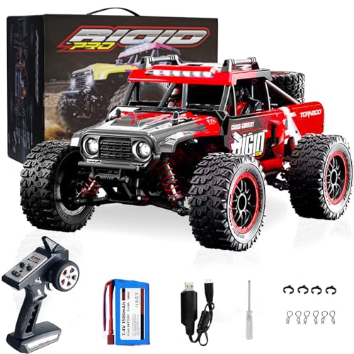 Yidedraw RC 1:14 Scale Dune Buggy