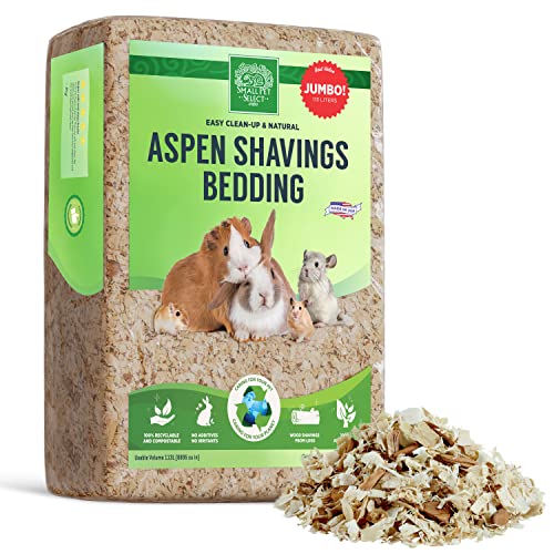 Best Rabbit Bedding Our Top Nine Picks Plus a Handy Buyer's Guide