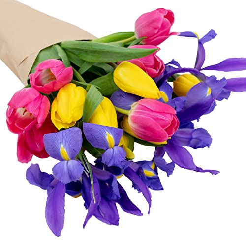 stargazer barn besties bouquet with fresh tulips amp blue iris purple pink yellow fresh flowers 15 count