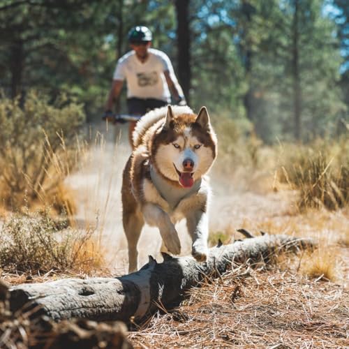 Ruffwear Swamp Cooler(TM) Zip Vest, Kühlmantel für Hunde, Farbe:Graphite Gray, Größe:S