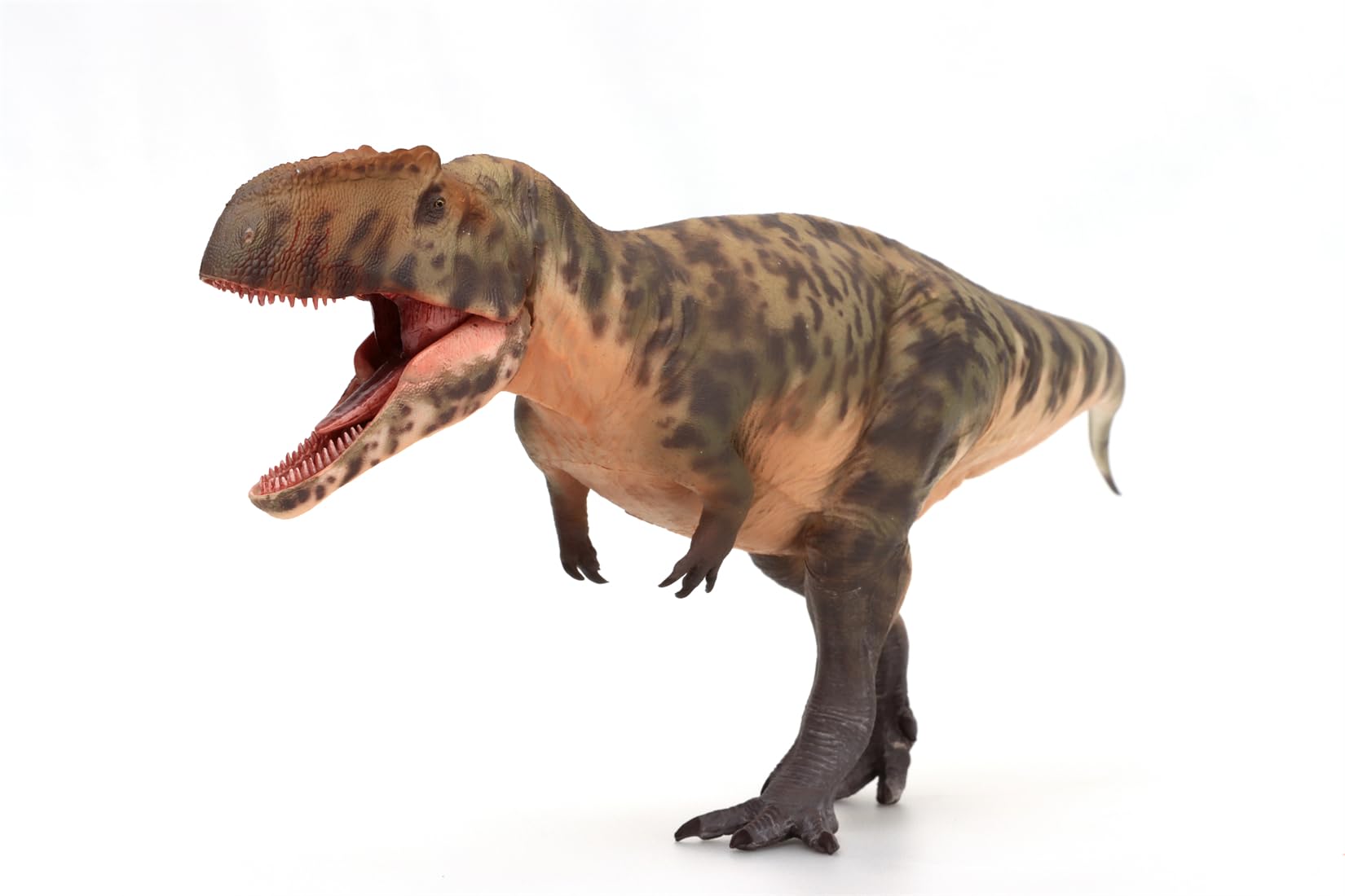 Giganotosaurus Figurine de dinosaure AMITD HLG Studio 1:35 Vert réplique de collection haute précision