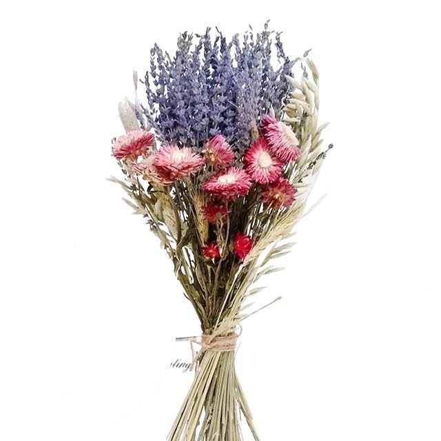 Pampas Grass Large Pampas Grass Decor Bridesmaid Bouquets Dry miniatura 1