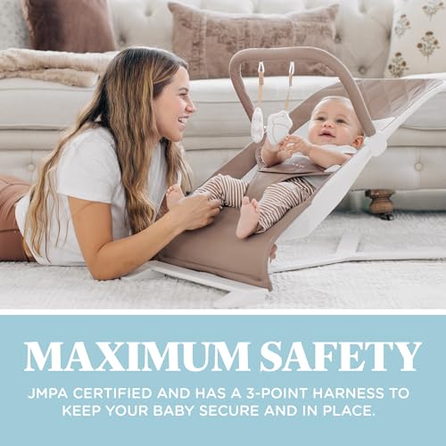 image for Baby Delight Alpine Deluxe Portable Baby Bouncer | Infant | 0-6 Months