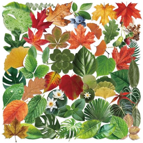 50Zbg H̗t Jtȗt RA G߂̐F O[vf XebJ[ h fJ[   lC m[gp\R p\R Xm{ XP[g{[h ו X[cP[X M^[  X}zP[X XP{[ J[ ] oC