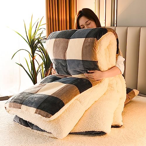 DEZYPZAM Couette en Velours de Laine d'agneau en Coton, Épaisse et Chaude Cachemire Édredon, Anti-poussière et Anti-Allergique Au Printemps Hiver et Automne...