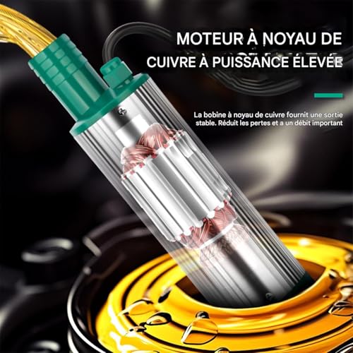Pompe de d'eau 12V automatique compacte pour l'arrosage et le transfert - 8