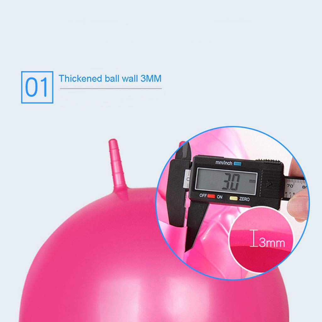 Amazon.com: Exercise Balls 25.5 Inches Professional Grade