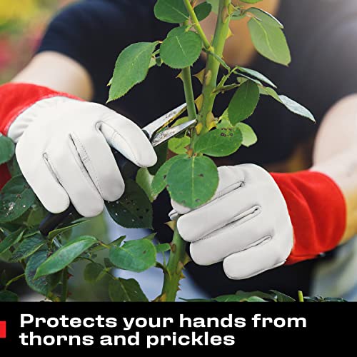 NoCry Guantes largos de jardinería de cuero para mujeres y hombres; a prueba de espinas para podar cactus, rosas y zarzamoras, guantes para trabajos de jardinería; palmas y dedos reforzados; rojo; M