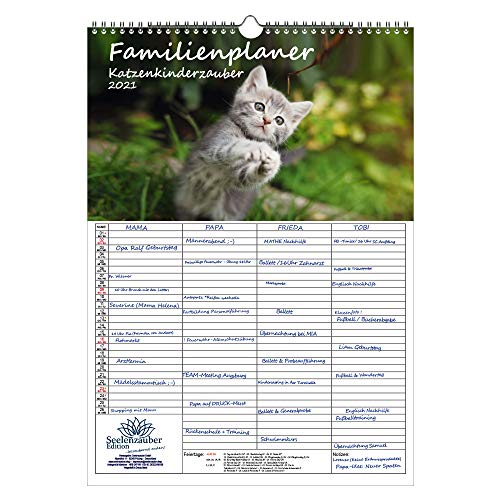 Télécharger Calendrier familial 2021 - Motif chat magique - Format A3 - Coffret cadeau - Contenu : 1 calendrier, Francais PDF