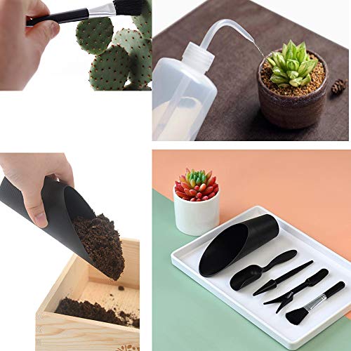 Wesdxc56 20 Pieces Succulent Plants Tools, Mini Garden Hand Tools Set Transplanting Tools Miniature Planting Gardening Tool Set for Indoor Miniature Fairy Garden Plant Care - Thumbnail 2
