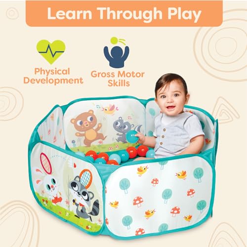 B. toys Babyspielzeug Bällebad Baby, Faltbarer zusammenklappbarer Laufstall mit 42 bunten Bällen – inklusive Aufbewahrungstasche für Bälle, Baby Spielzeug für Kinder ab 1 Jahr – Bild 5
