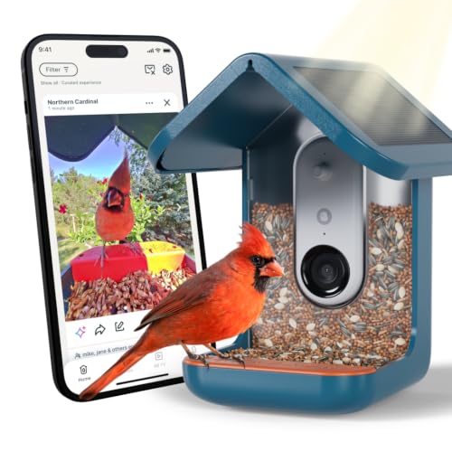 Birdbuddy PRO Solar Smart Bird Feeder with Camera - AI Bird Species Identification, 5MP Photos, 2K HD Video Live Stream Camera, Slow-Motion Video, 2.6in Focus - Blue Solar