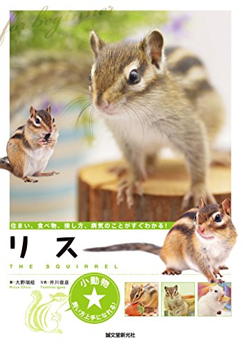 リス 住まい 食べ物 接し方 病気のことがすぐわかる 小動物 飼い方上手になれる 大野 瑞絵 井川 俊彦 生物 バイオテクノロジー Kindleストア Amazon リス 住まい 食べ物 接し方 病気のことがすぐわかる 小動物 飼い方上手になれる 大野 瑞絵 井川 俊彦 生物 バイオテクノロジー Kindleストア Amazon