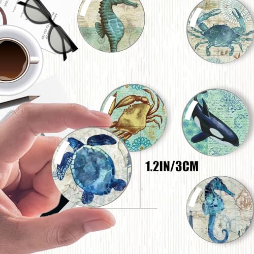 Imanes Decorativos Redondos para Refrigerador 12 Piezas miniatura 2