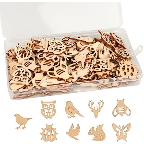 Embellissements en Bois FRUHLING 100 pièces Cover