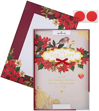 Hallmark traditional robin christmas card