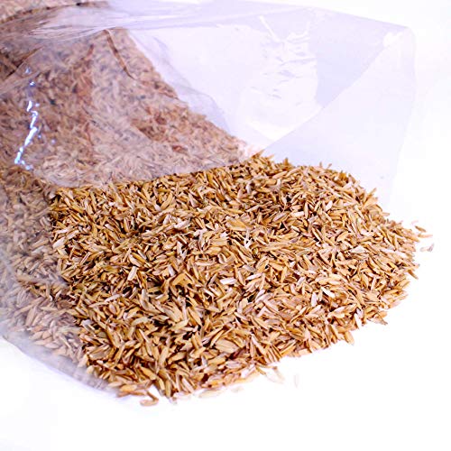 Rice Hulls - Organic Use – 1.5lb Bag - House Plants – Gardening - Chicken Bedding Nesting