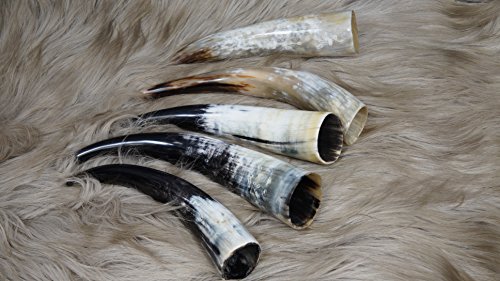 bokke Cuerno de Toro Pulido, Trompa Natural, 30 – 40 cm, 40 x 25 cm