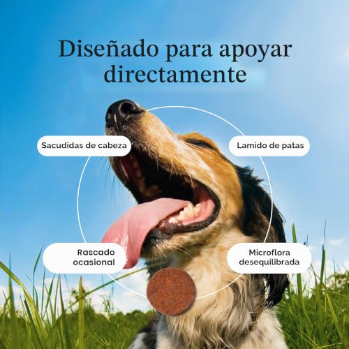 Probióticos para perros con producción de levaduras saludables masticables PetLab Co. 5