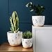 Yosun01 Marble Plant Pot, 5.5 inch Modern Nordic Style Ceramic Marble Look Scrub Pots for Plants-Plant Pots Indoor with Drainage Hole and Ceramic Tray for Succulents/Plants/Flowers
