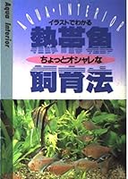 熱帯魚ちょっとオシャレな飼育法 4471082078 Book Cover