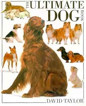 518ytpX3nqL._AC_UF350,