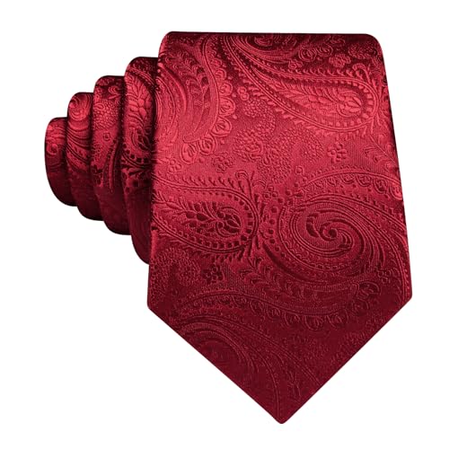 Image of Barry.Wang Paisley Tie for Men Silk Woven Necktie and Tie Clip Set Wedding Party Business Formal