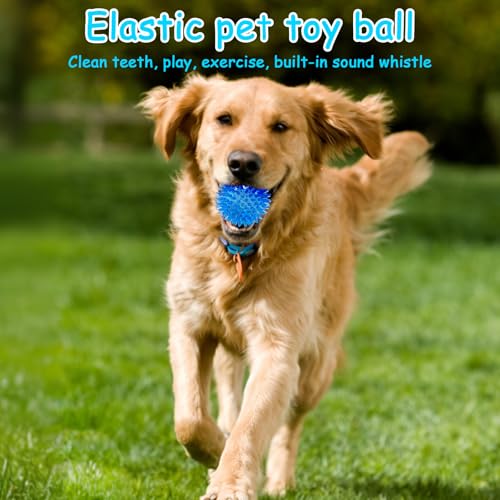 Pelota mordible para perros spiky Pawvita 6 unidades miniatura 2