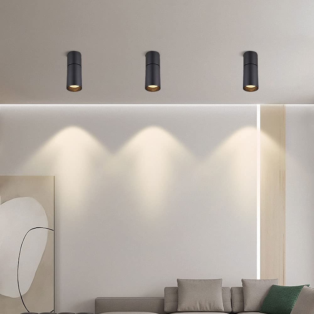 Faretti da soffitto Regolabili, faretti da Incasso a LED da 12 W, direzionali, Regolabili a 90 Gradi, faretti da soffitto monopunto per Interni, Ingresso, Soggiorno, Cucina (Nero-6