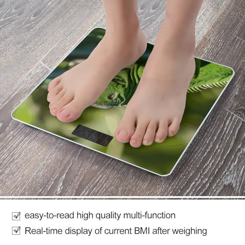 Báscula Digital para Baño con Pantalla LCD y Vidrio Templado miniatura 5