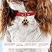 ibera gifts - Hundemarke mit Gravur - Personalisierte Hundemarke in Pfotenform für kleine und mittelgroße Haustiere - Hochwertiges legiertes Metall - Hundemarke personalisiert