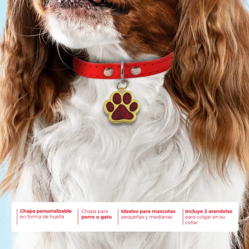 ibera gifts - Hundemarke mit Gravur - Personalisierte Hundemarke in Pfotenform für kleine und mittelgroße Haustiere - Hochwertiges legiertes Metall - Hundemarke personalisiert
