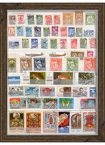 8.5x11 Frame (Letter Size) Woodgrain Walnut Shadow Box Frame - Shadow Box Frame Interior Size 8.5x11 by 1 Inch Deep - Made to Display Items Up to 1 Inch Deep! Includes Shatter Resistant Acrylic,