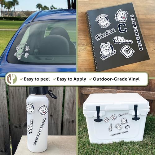 Autocollant vinyle UConn Huskies authentique Desert Cactus T2 pour une finition premium