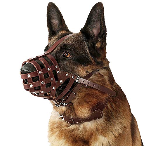 Collardirect MUZDOBBROWNL Dog Muzzle German Shepherd Dalmatian Doberman Setter Leather Basket Medium Large Breeds Black Brown  thumb #4